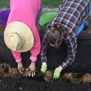 Meet your Posher, Cora